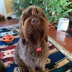 Meet your Posher, Inga